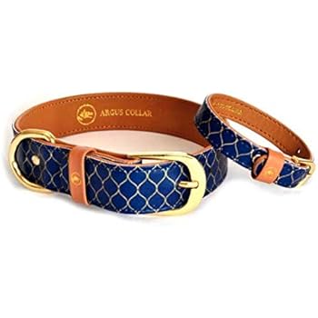 dog collars and bracelet for owner