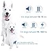 GoodBoy Small Size Remote Collar for Dogs with Beep Vibration and Shock Modes for Pet Behavior Training - Waterproof & 1000 Feet Range - Suitable for Small, Medium or Large Dogs (10+ lbs)
