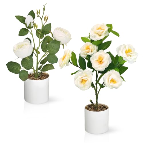 TINA 2er Set Kunstblumen im Topf Kamelie(48cm) und Rosen‌ (38cm), Künstliche Blumen im Topf, Kunstpflanze Kunstblumen wie Echt, Frühlingsdeko Fake Blumen Pflanzen Balkon Deko für Haus Büro Party