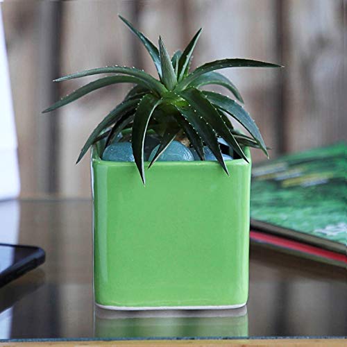 UGAOO Square Ceramic Pot (Small, Diameter 3.5 Inch, Light Green) | Ceramic Planter for Indoor Outdoor Plants | Flower Pot for Home, Office, Balcony, Garden Decor-image-35