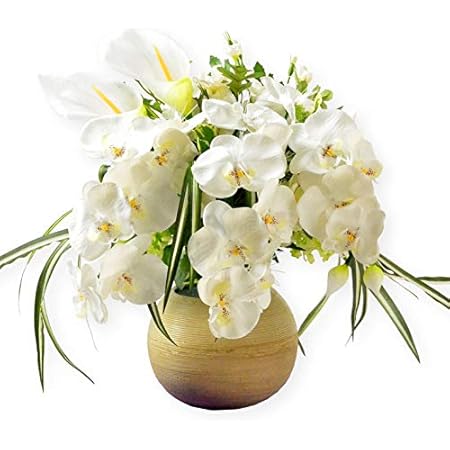 Amazon 仏縁堂ブランド お盆飾り Led光触媒 光ファイバー仏花 テルミナ陶器鉢 胡蝶蘭 お盆用品 霊前灯 提灯 供花 供物 お供え 造花 仏壇用仏具 新盆 初盆 盆花 迎え火 送り火 インテリア行灯 造花 オンライン通販