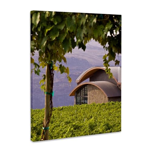 3dRose, Washington, Quincy. Cave B Inn Winery, vineyard - US48 BJA0152 - Jaynes Gallery, Museum Grade Canvas Wrap 16x20
