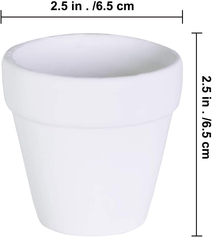 Winlyn 60 Pcs White Terra Cotta Pot - 2.5 Inch Tiny Mini Clay Pots with Drainage Holes Flower Nursery Terra Cotta Pots for Succulent Plants, Crafts, Wedding Baby Shower Favor