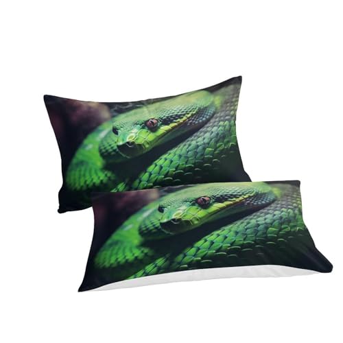 Housse de couette serpent 3D 200x200cm en microfibre avec 2 taies d'oreiller