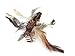 Frenzy Spidie House Spider Attachment/Refill- Fits Da Bird, Cat Catcher, Clarion Baton and Flying Frenzy