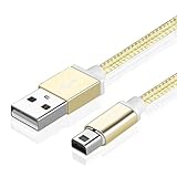 TNP USB Charger Cable for 3DS (5ft) Proprietary Power Charging Cord for Nintendo New 3DS XL / New 3DS / 3DS XL / 3DS / New 2DS XL / New 2DS / 2DS XL / 2DS / DSi XL / DSi - Gold