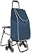 Eortzzpc Handwagen Multifunktions-Warenkorb Klettertreppen Klappgepäck mit Stuhl Tragbare Seitentasche Dichte Handwagen,Trolley Cart für Multi-Use (Size : 30x20x90cm)