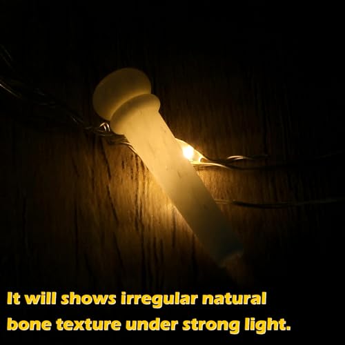 image for Blisstime 6pcs Guitar Bone Bridge Pins Replacement Parts with Abalone 