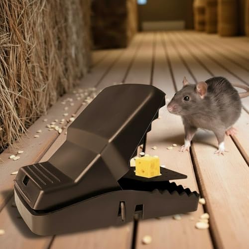 XXL Rattenfalle 21cm – 2er Pack Große Schlagfalle für Ratten, Wiederverwendbar, Heavy Duty, Effektive Falle, Schwarz