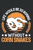  Kornnatter Tagesplaner: Kornnatter Geschenk Corn Snake / Kalender 2023 & 2024 / Wochenplaner Tagesplaner Planer / Planungsbuch To-Do-Liste / 6x9 Zoll / 100 ausfüllbare Seiten
