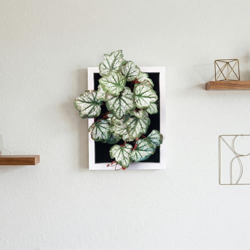 VerdantCharm Tableau Végétal Heuchère Artificiel Encastré 25x29cm – Cadre Bois Naturel, Feuillage Coloré Réaliste, Décoration Murale Intérieur Bureau...