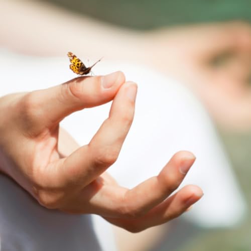 10-Minute Somatic Meditation | Calm Anxiety & Regulate Your Nervous System