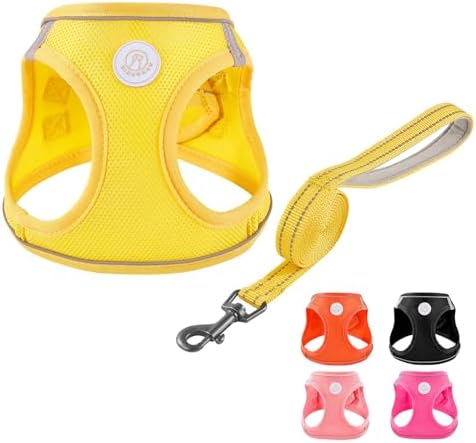 Soft Mesh Dog Harness and Leash Set, No Pull Puppy Harness and Le...