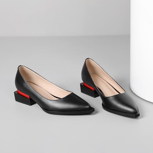 Image of LingxiaUne Dress Shoes for Women, Comfortable Dressy Flats, Womens Chunky Heel Pumps with Arch Support and Pointed Toe