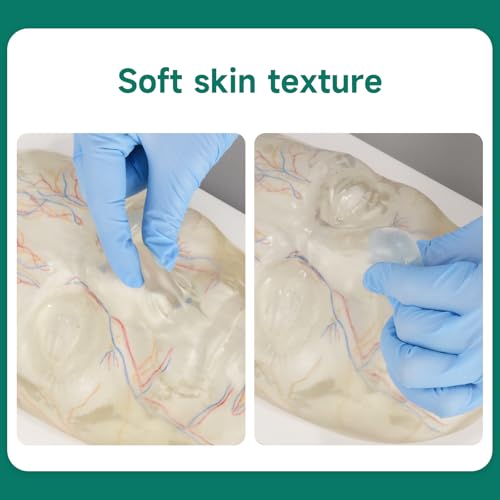 Image of Transparent Injection Face Model with Blood Vessels | Anatomical Injection Mannequin Face, Facial Injection Training Model for Estheticians, Medical Students, Detachble Face Skin