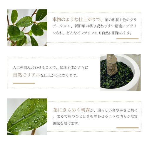 フェイクグリーン 人工観葉植物 リアルな朝露付き 光触媒 消臭 空気清浄 高さ120cm 大型 室内外対応 鉢植え 水やり不要 お手入れ簡単 虫害の心配なし 玄関・キッチン・オフィス・ベランダ・結婚飾り お祝い用 オリーブ ミランの葉 アグライア ミカン科 [5]