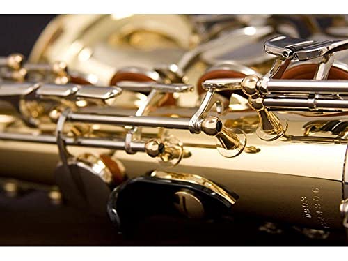 Saxofone Alto Eb SA500-LN Niquelado EAGLE