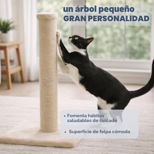 Miniatura 2 de Trixie Poste Rascador De Gatos - Arbol Para Gatos Juguete Parla 62 Cm Beige