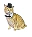 Black Top Hat with Bow Tie for Cats and Small Dogs – Handmade Formal Pet Hat for Weddings, Parties, and Photoshoots – Elegant Cat or Dog Accessory