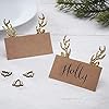 Ginger Ray Kraft & guld glitter hjorthorn julbord namn placeringskort 10-pack #1