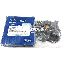 HYUNDAI سلسلة توقيت حقيقية 24321-2E200