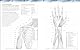 The Human Body Colouring Book: The Ultimate Anatomy Study Guide (DK Human Body Guides)