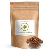 Bittere Aprikosenkerne - 500 g - Saatgut - Sehr hoher Amygdalin-Anteil - naturbelassen und...
