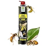 Albagarden - Insetticida Spray Vespe E Calabroni - Repellente Ad Azione Immediata Di Lunga Gittata - Formato Maxi Per Disinfestazione - Veleno, Alternativa Alla Trappola E Schiuma Per Vespe