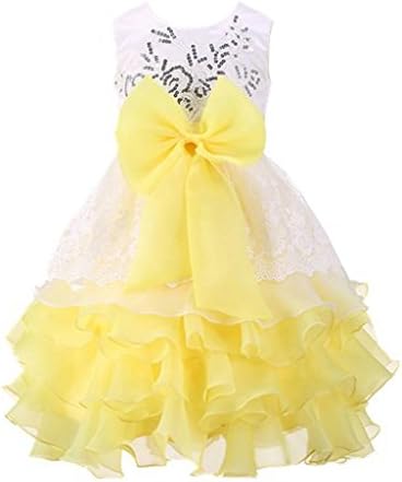 Happy Rose Vintage Ruffles Embroidered Sequins Flower Girl Dress Wedding Pageant
