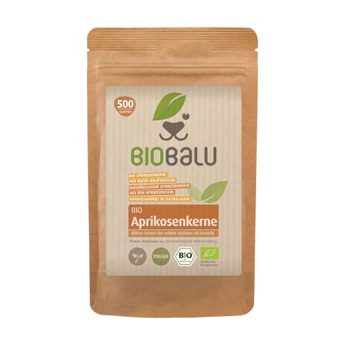 Bio Aprikosenkerne bitter Qualität 'extra herb' 500g - hoher Bitteranteil, naturbelassen, extra herb, wenig Bruchanteil, ungeschwefelt, aus einer biozertifizierten Wildsammlung