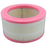 FridayParts Air Filter for Donaldson P606279 PA1719 AF4024 WIX