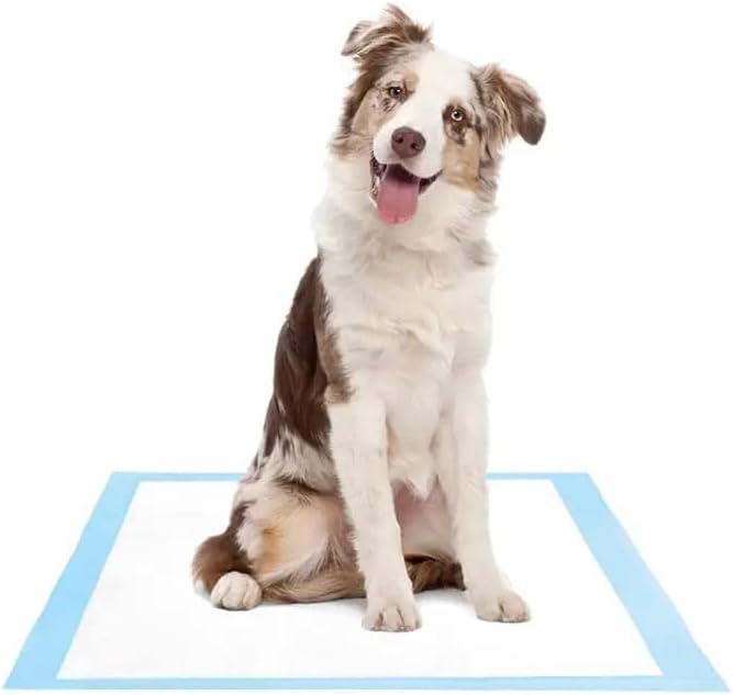 Small Puppy Pads 12.9 in X 17.7in, 100 Count Puppy Training Pads, Disposable Dog Pee Pads, Potty Pads (XLarge)