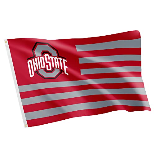 Desert Cactus Ohio State University OSU Buckeyes Flag 3x5 Outdoor (Nation)