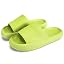 Avocado Green