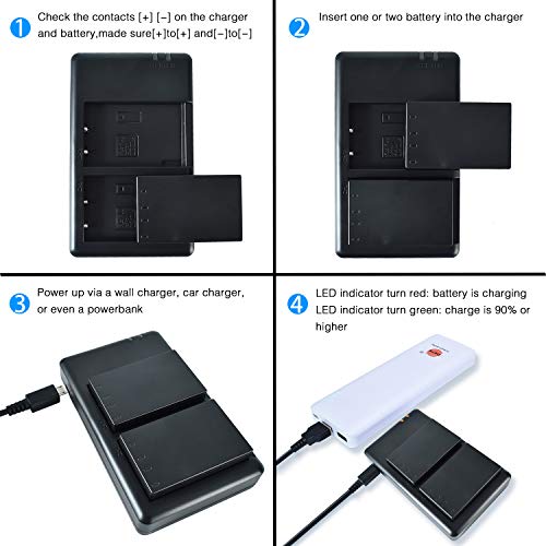 DSTE BCM-5 Batteria USB Dual Quick Caricatore