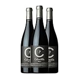 Uribes Madero Calzadilla Allegro Syrah Vino de Pago Calzadilla 75 cl Vino tinto (Caja de 3 Botellas de 75 cl)