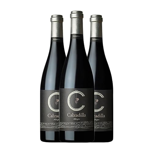 Uribes Madero Calzadilla Allegro Syrah Vino de Pago Calzadilla 75 cl Vino tinto (Caja de 3 Botellas de 75 cl)