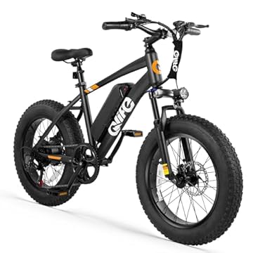 electric bike with fat wheels