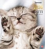 Sprea Editori