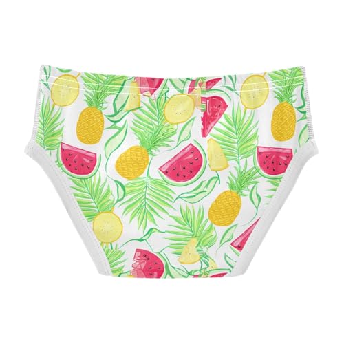 Tropical Pineapple Watermelons Toddler Boy's Underwear 2T 202c18572
