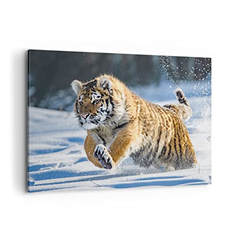 Impression sur toile - Image sur Toile - Un élément - tigre animal - 100x70cm - Decoration murale - Tableaux Décoration - Encadrée - Tableau Mural - Tableaux pour la mur - Moderne - AA100x70-3928