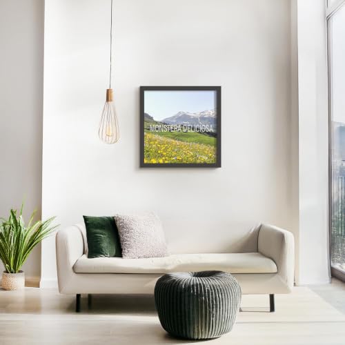 Image of Picrit 24x24 Black Poster Frame, Picture Frame for Wall, 3 Pack