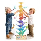 Klangbaum, Murmelbahn Holz Regenbogen, Kugelbahn Holz Lernspielzeug mit 12 RegenbogenbäLle, 6 Bunte Ebenen ab 3 Jahre für Kinder, Klangbaum Motorikspiel