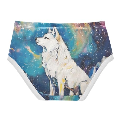 Wolf Galaxy Toddler Girls's Underwear 2T 202b94292