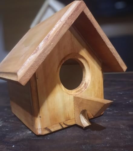 Casinha de Passarinho de Madeira Maciça, Pintada à Mão, 12x14x16cm
