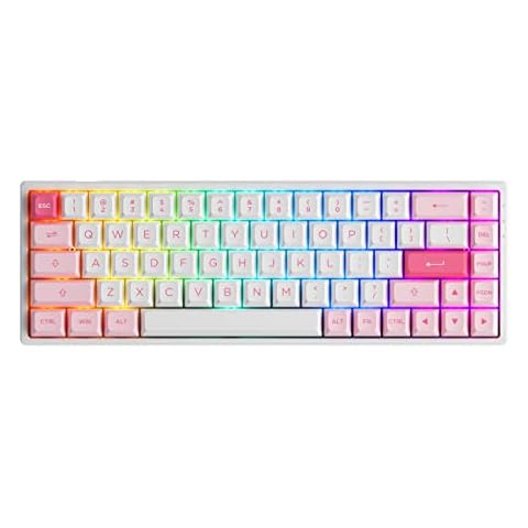 Akko 3068B Plus RGB Mechanical Gaming Keyboard, Multi Modes (BT5.0/2.4Ghz/Type C) Compact Keyboard with 5 Pin Hot Swappable, PBT Double Shot ASA Keycaps, Programmable Macros (Sakura, Linear Switches) Cover