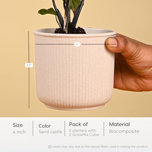 Image of Eha Earth Friendly Statement Pot 4 Inch Pots and Planters with Growmix |Set of 2| Table Top Planters for Gifting |Bamboo Based | Planter for Indoor & Balcony Window Flower Pots| Sand Castle