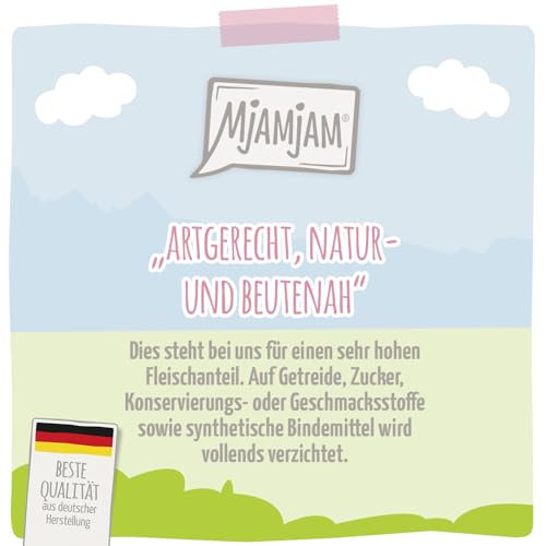 MjAMjAM- Premium Trockenfutter für Katzen- Knusprige Mahlzeiten- Kitten- Frisches Geflügelfleisch, 1er Pack (1x300g), getreidefrei-2