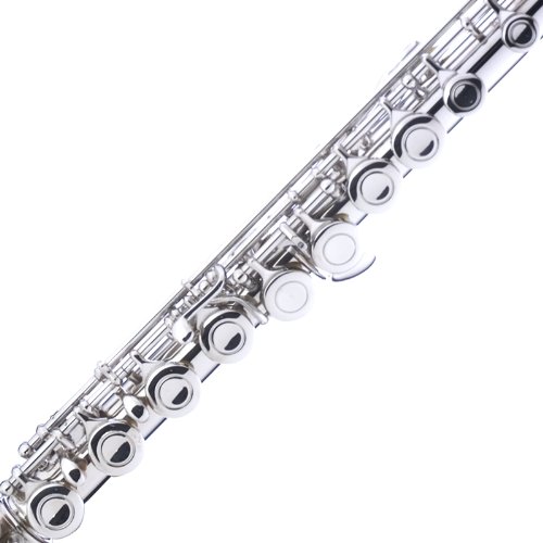 Mendini Nickel Silver Closed Hole C Flute With Tuner, Stand, 1 Year Warranty, Case, Cleaning Rod, Cloth, Joint Grease, And Gloves - Mfe-N+Sd+Pb+92D #TOP4