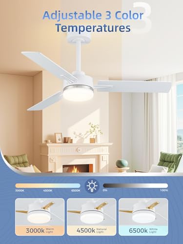 Image of LANMEL Ceiling Fan with Light, Modern Flush Mount Low Profile with Remote Control, Reversible, 3CCT Dimmable, Quiet,LED for Bedroom, Living Room, Indoor /Outdoor Patio Use 42 Inch Silver & White